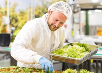 Kok productiekeuken Hutten