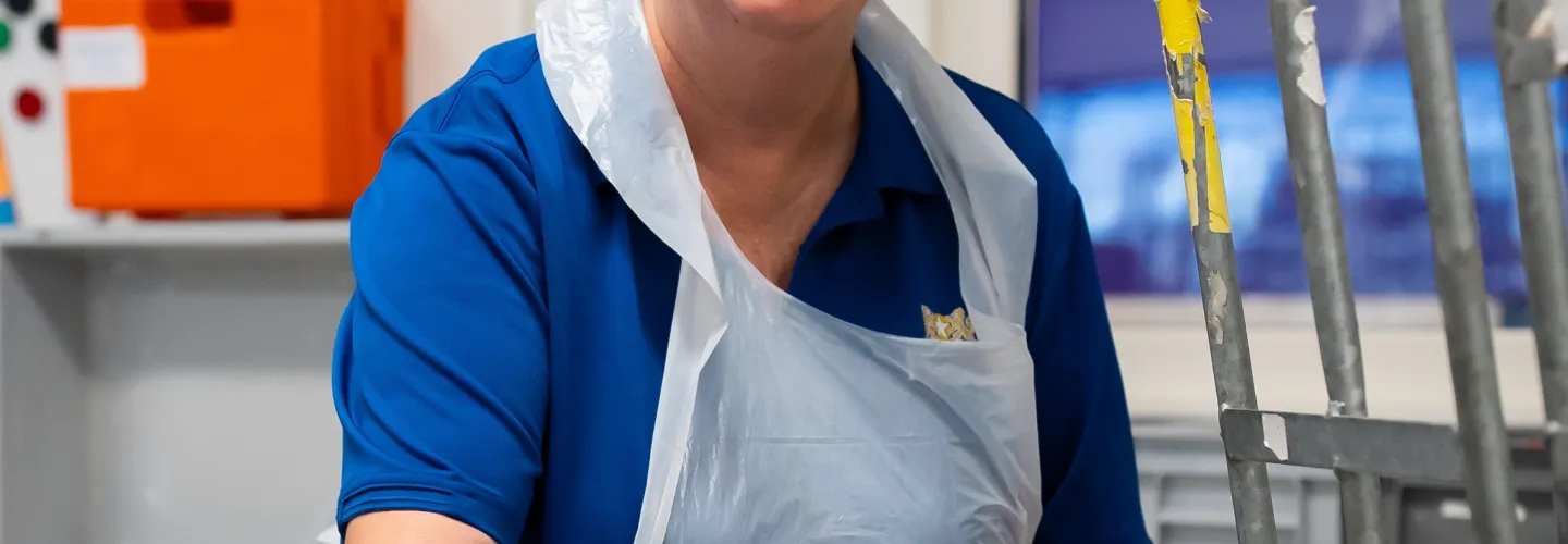 Wervingsfoto spoelkeuken 2