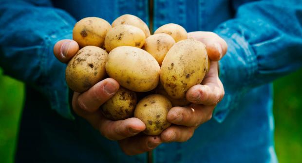 hutten business horeca foodchain